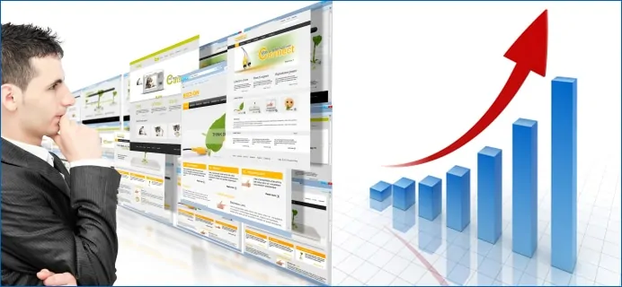 Website Score Roi