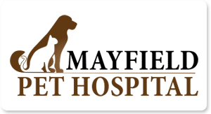 Mayfield Pet Hospital