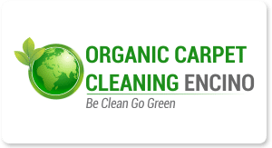 Organic Carpet Cleaning Encino