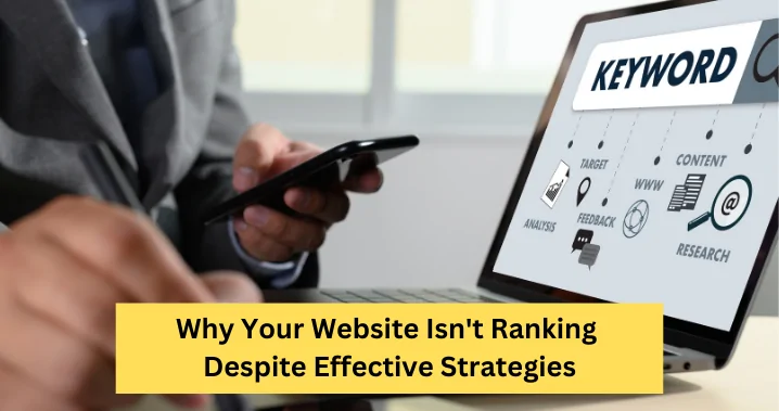 Toronto SEO Consultant